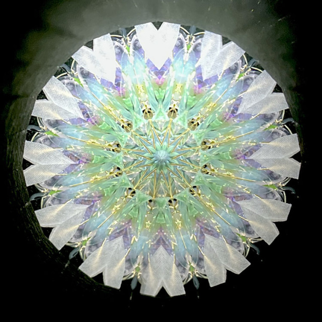 小野寺慶子_OK6017_メイン2