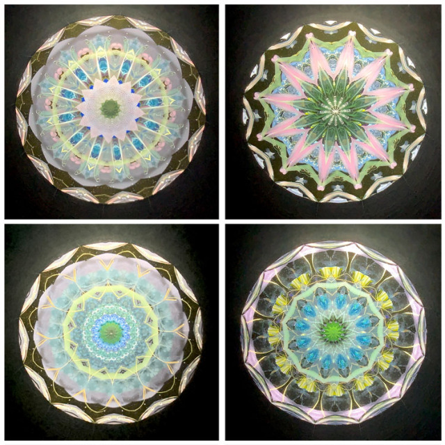 小野寺慶子・良明「蓮雅（薄紫色）」(OK6018)2ミラー・オイルタイプ