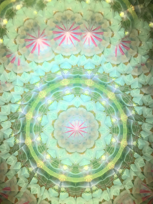 万華鏡 小野寺慶子さん作品 カレイドスコープ 万華鏡 小野寺慶子さん作品 カレイドスコープ 葉っぱ模様のテレイド