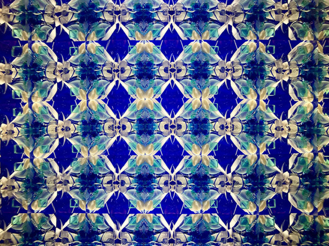 小野寺慶子_OK6038_4