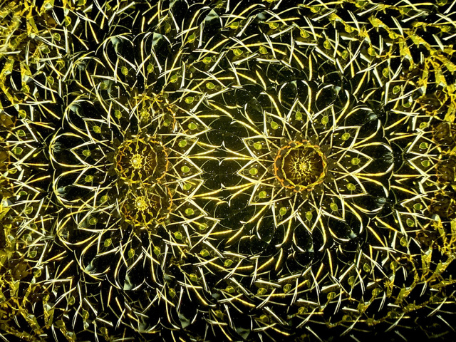 小野寺慶子_幻花_追加_12