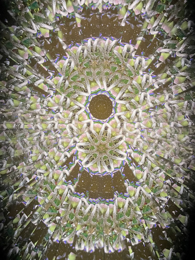 大塚_oo16-9-3_22