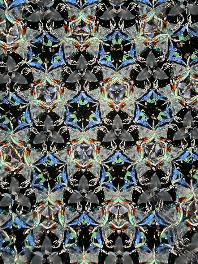 シマエナガ_PU7022_4