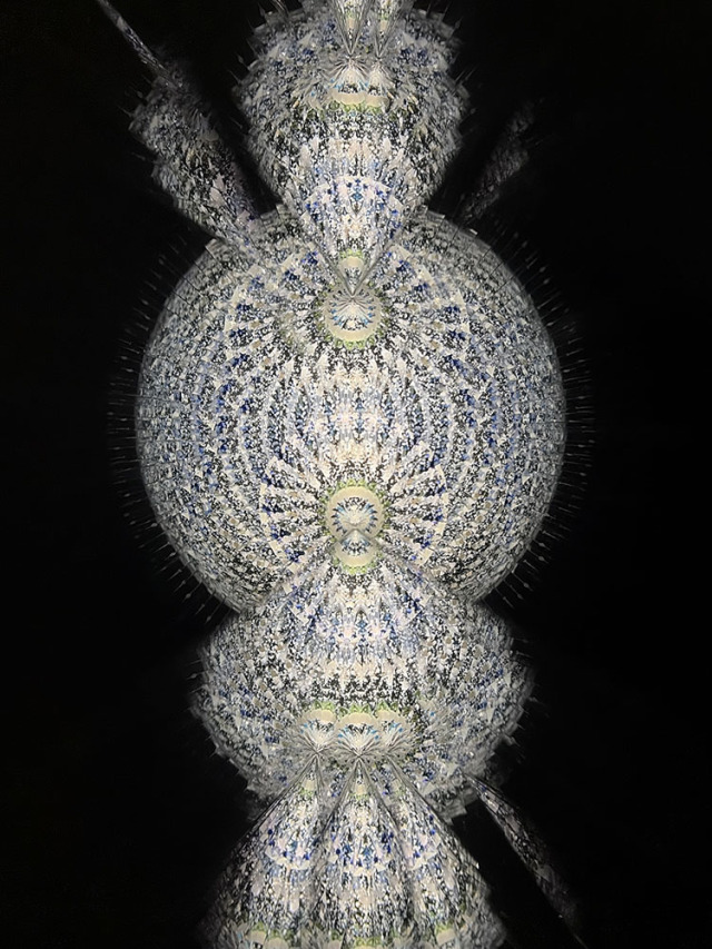 鈴木明子_PH-7069_3