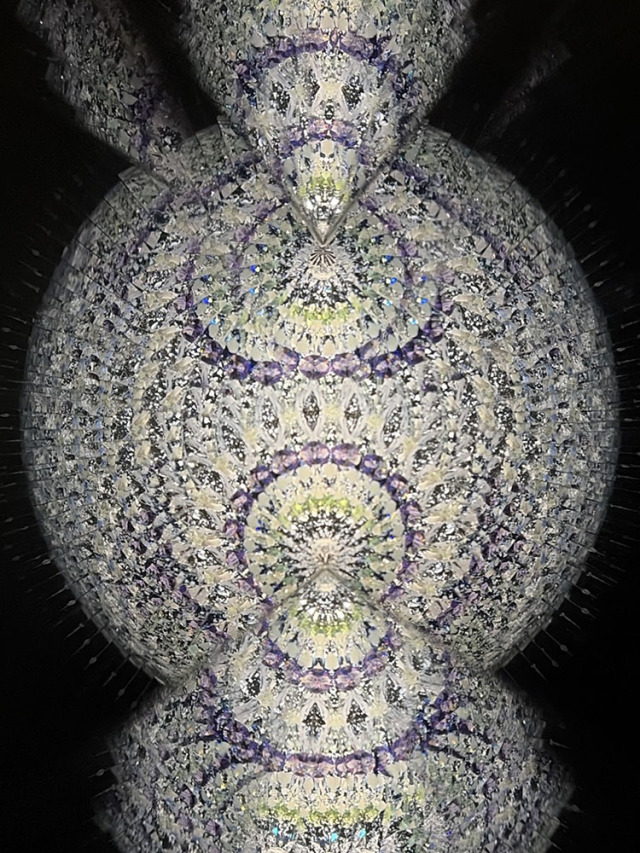 鈴木明子_PH-7069_4
