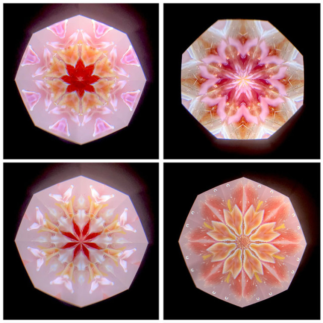 高林 千稔「Pink Float mini」（TK7004）2ミラー・オイルタイプ