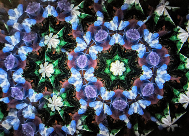 高林千稔_TK5024_8