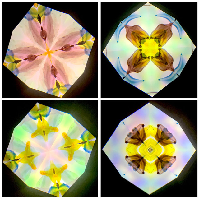 高林千稔_TK6019_1