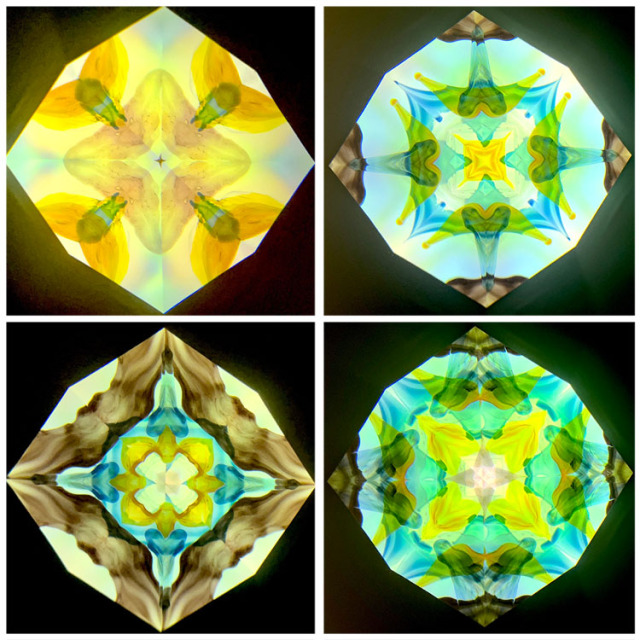 高林千稔_TK6019_5