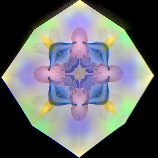 高林千稔_TK6019_メイン1