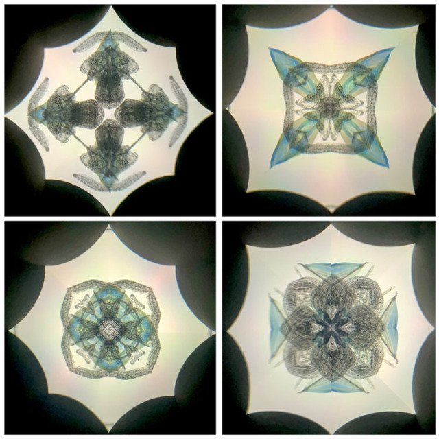 高林千稔_TK6020_1