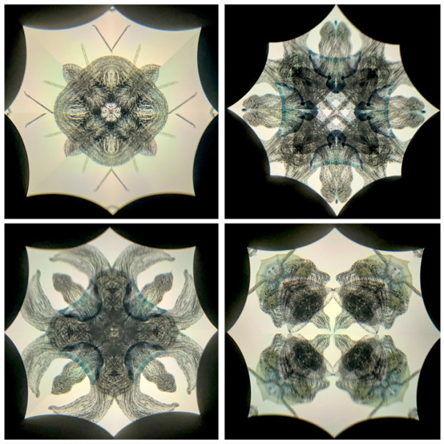 高林千稔_TK6020_2