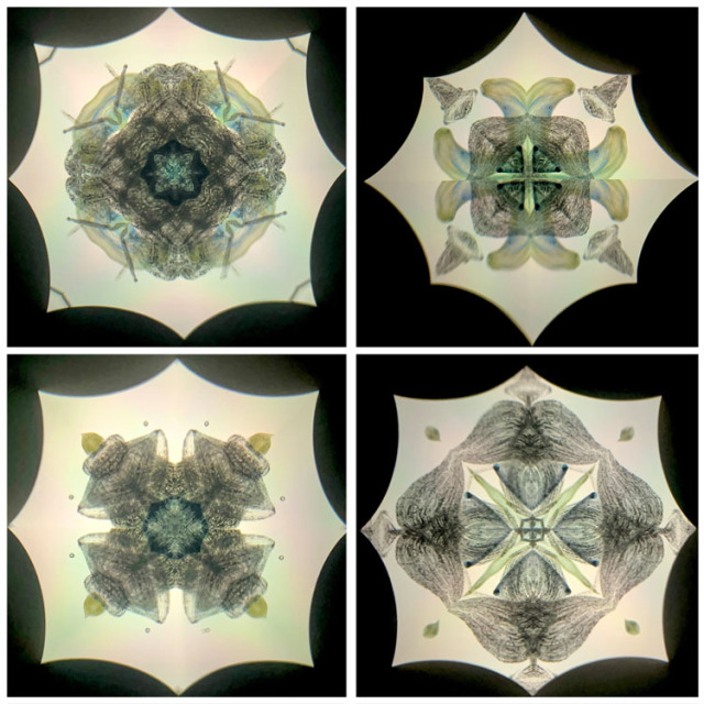 高林千稔_TK6020_3