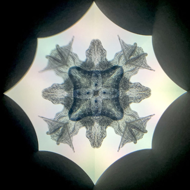 高林千稔_TK6020_メイン1