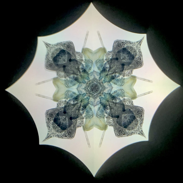 高林千稔_TK6020_メイン2