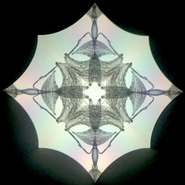 高林千稔_TK6020_メイン3