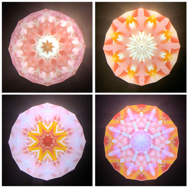 高林千稔_TK6021_4