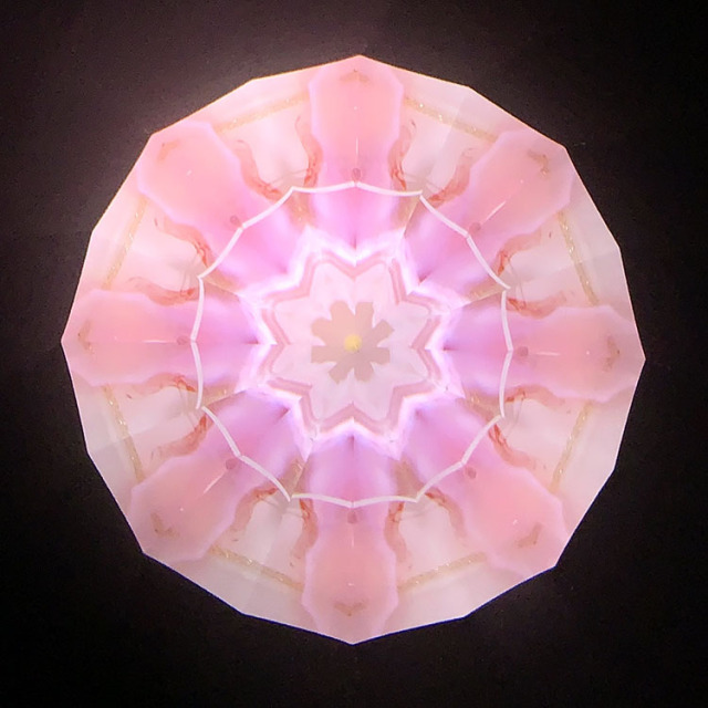 高林千稔_TK6021_メイン1