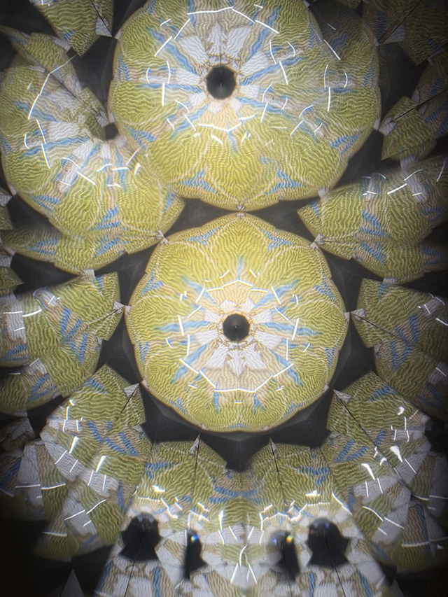 武山_TT6025_5