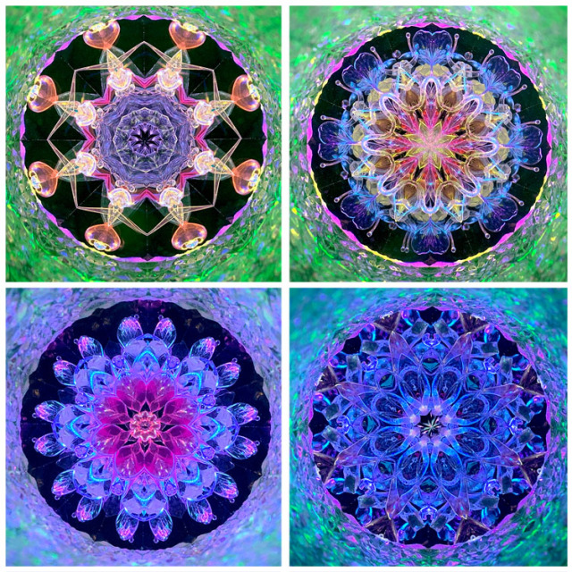 舘川瑞江_TM5010_blue_1