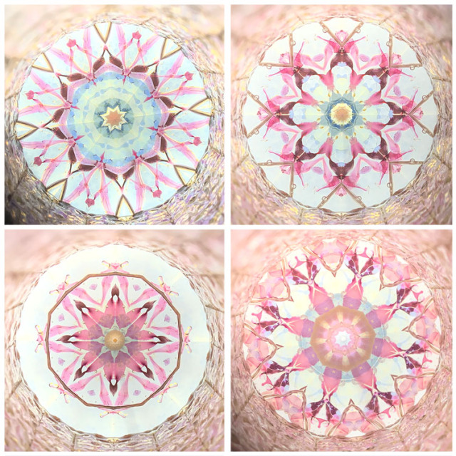 舘川瑞江_TM5038_1