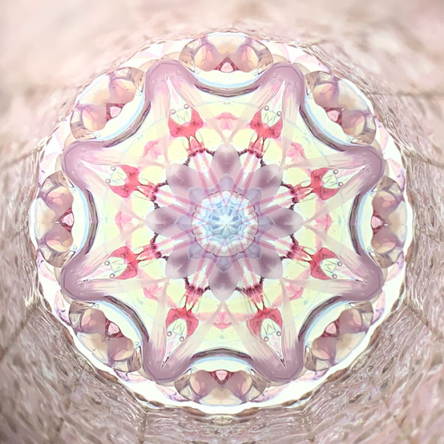 舘川瑞江_TM5038_メイン1