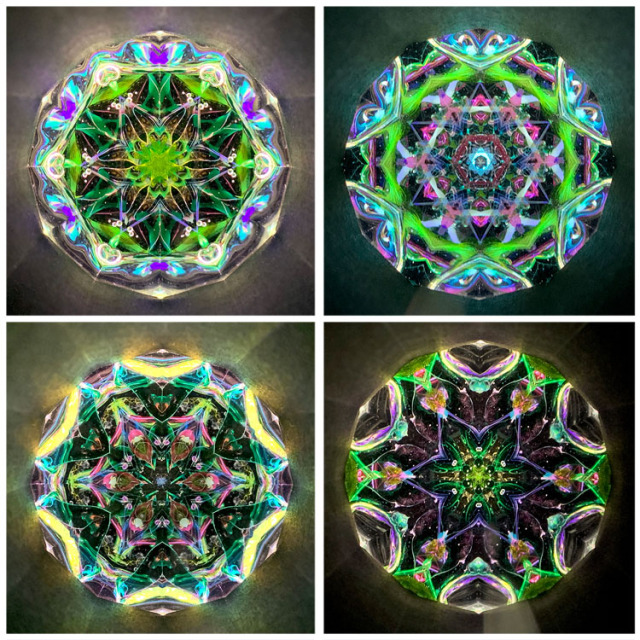 舘川瑞江_TM6011_2