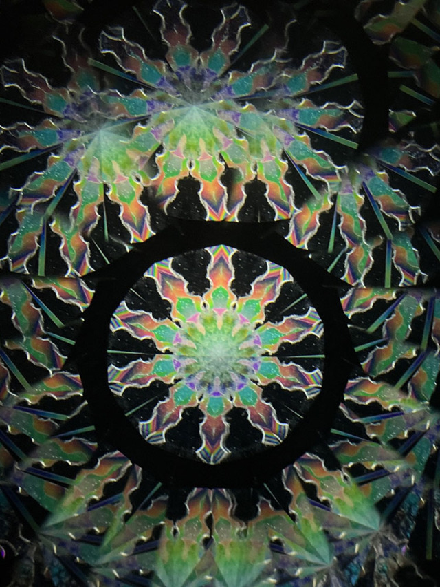 若林_WH7006_メイン2