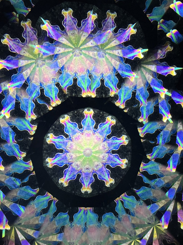若林_WH7006_9