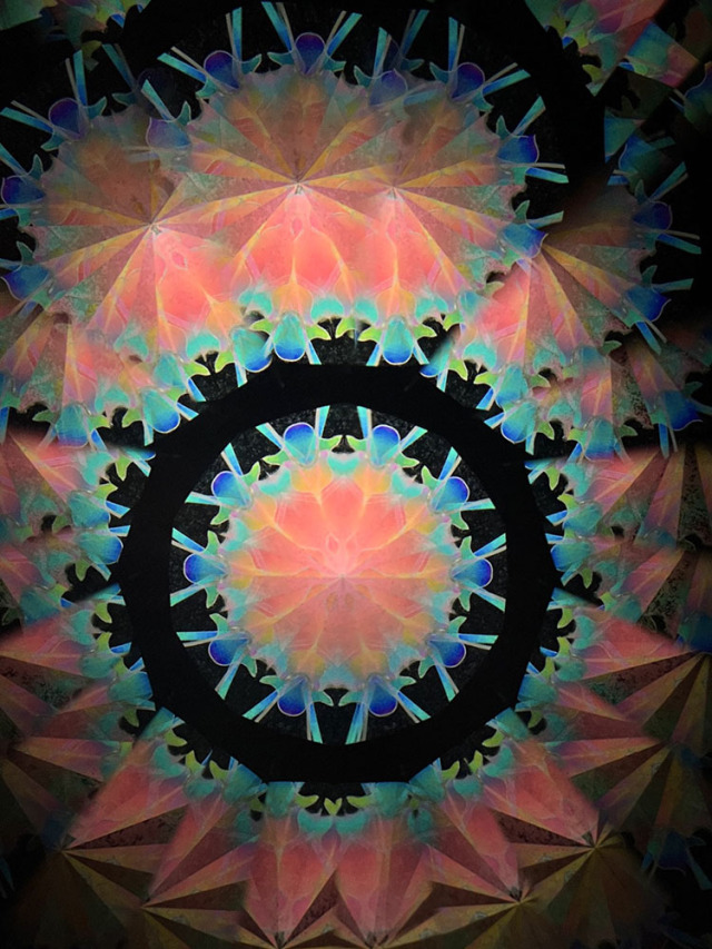 若林_WH7006_12
