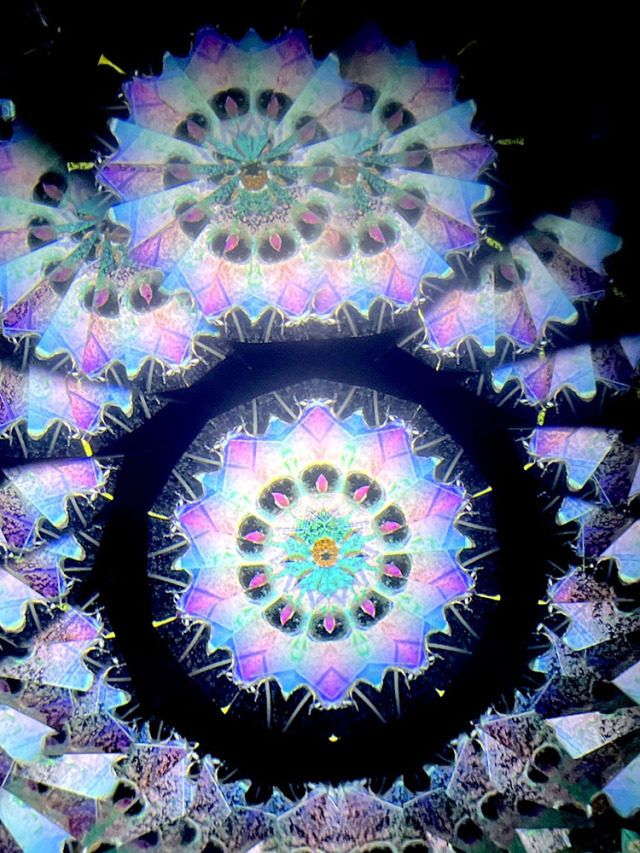 若林_WH7006_16