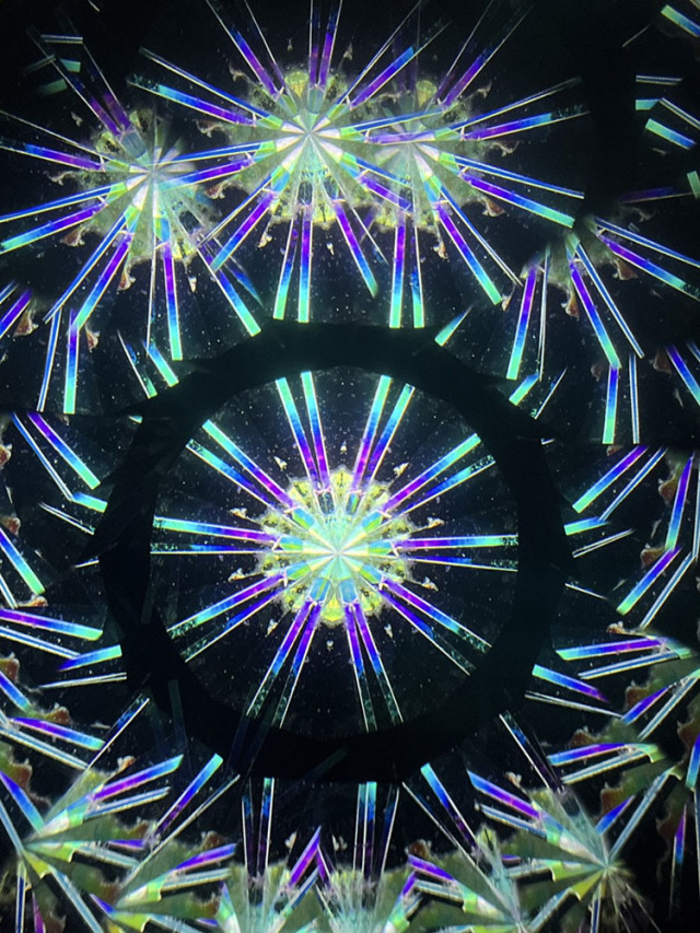 若林_WH7006_1