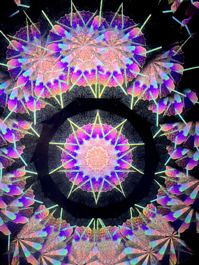 若林_WH7006_4
