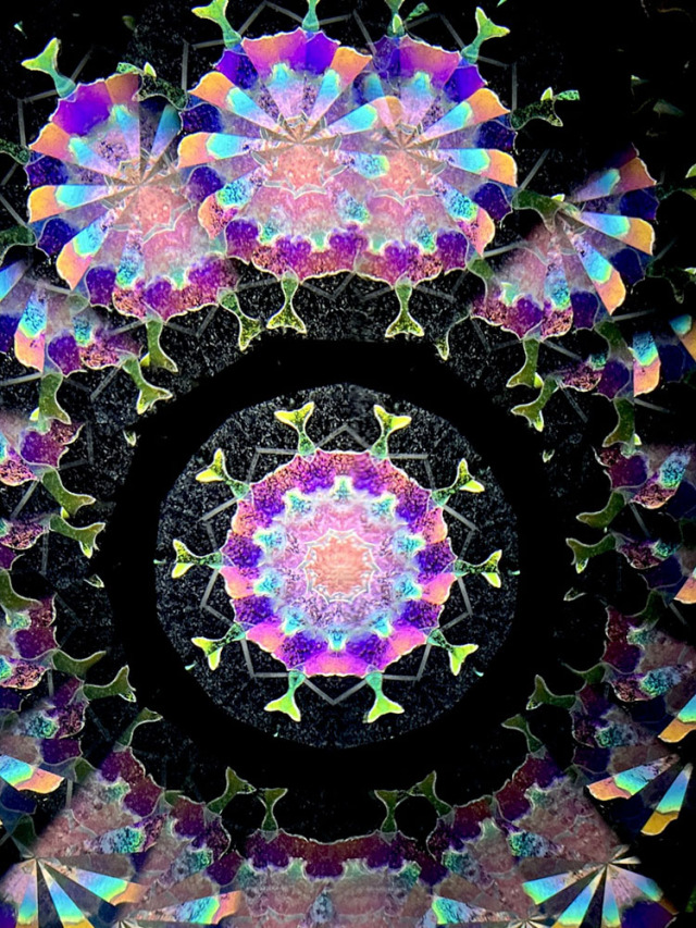 若林_WH7006_6