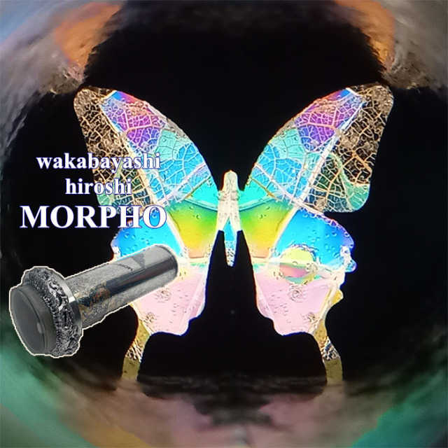 万華鏡　モルフォ蝶 万華鏡：オイル]Morpho /A B モルフォ：若林寛［送料無料］
