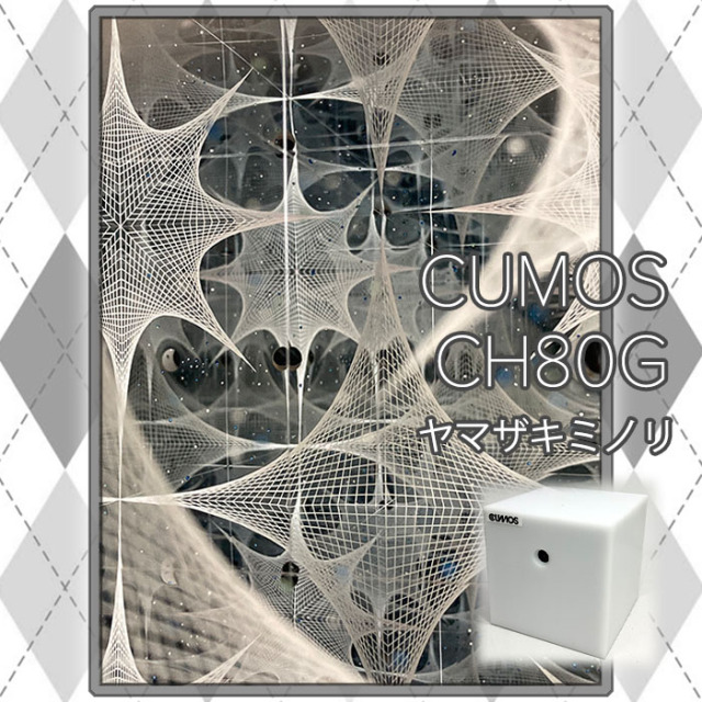 ヤマザキミノリ_YM3003