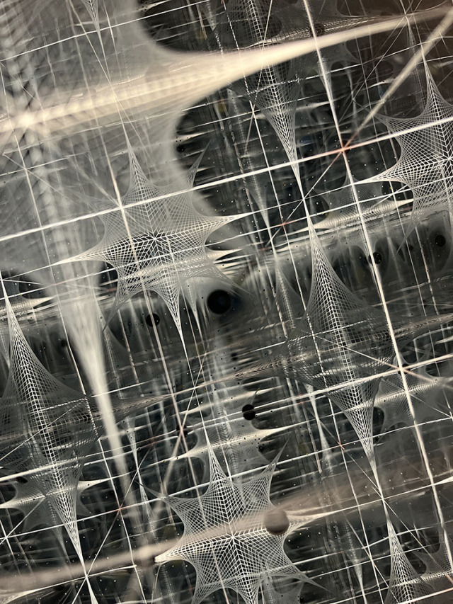 ヤマザキミノリ_YM3004_6