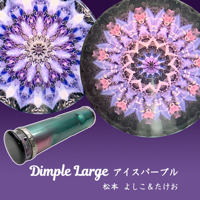 BEAMS JAPAN (BEAMS JAPAN) [Special order] CHUGAI TOEN