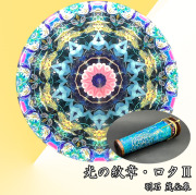 羽石_HS6021