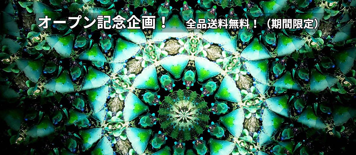 トップスライダー_1_文字入り記念
