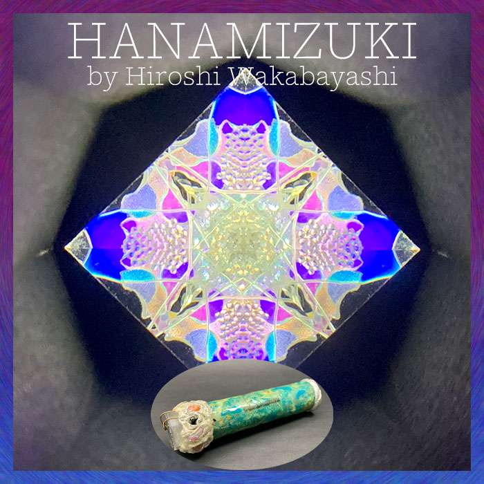 若林_WH6012