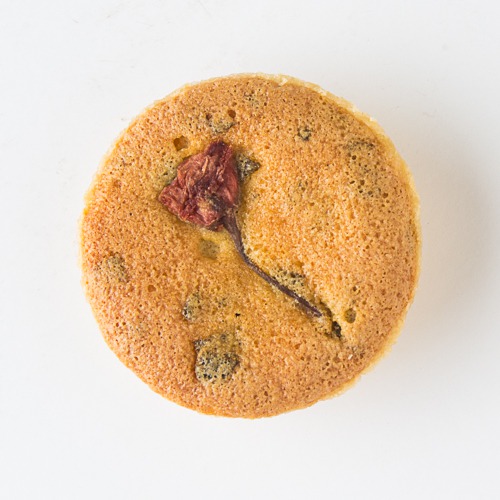 【期間限定・ご自宅用】 桜のソフトタルト(バラST)