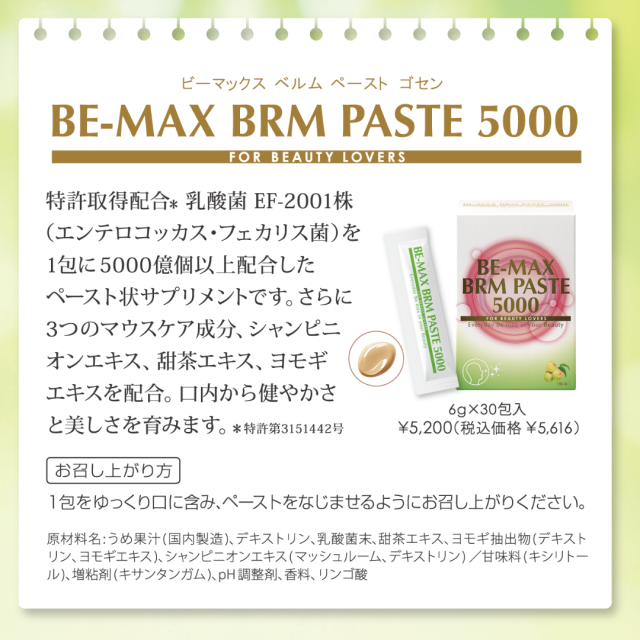 BE-MAX BRM PASTE5000