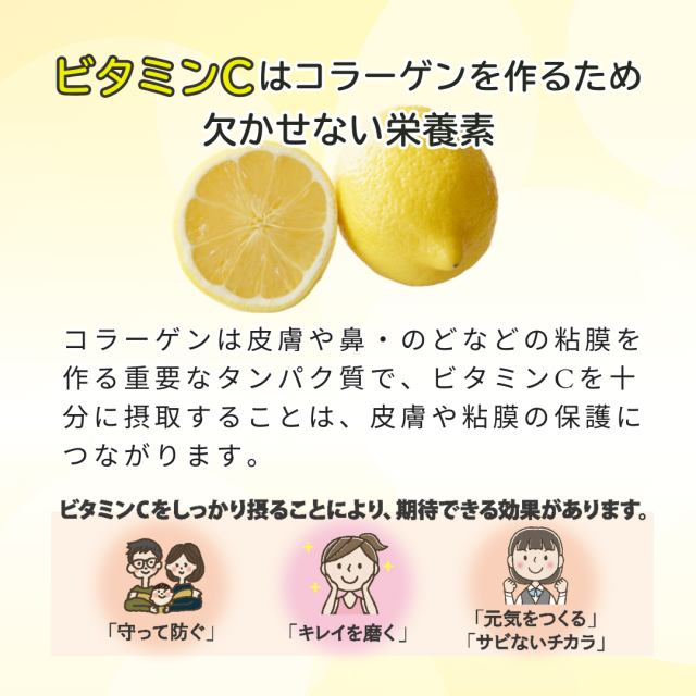 リポソームC説明画像6