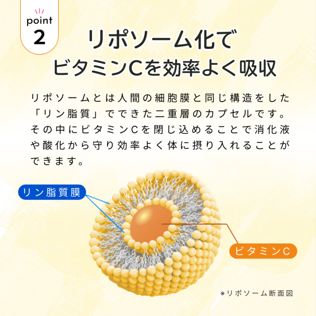 リポソームC説明画像8