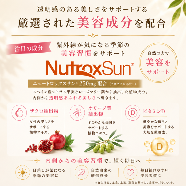 BE-MAX THE SUN