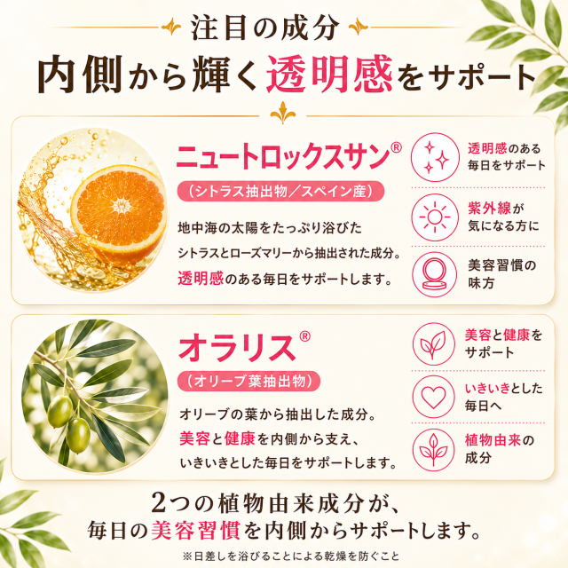 BE-MAX THE SUN