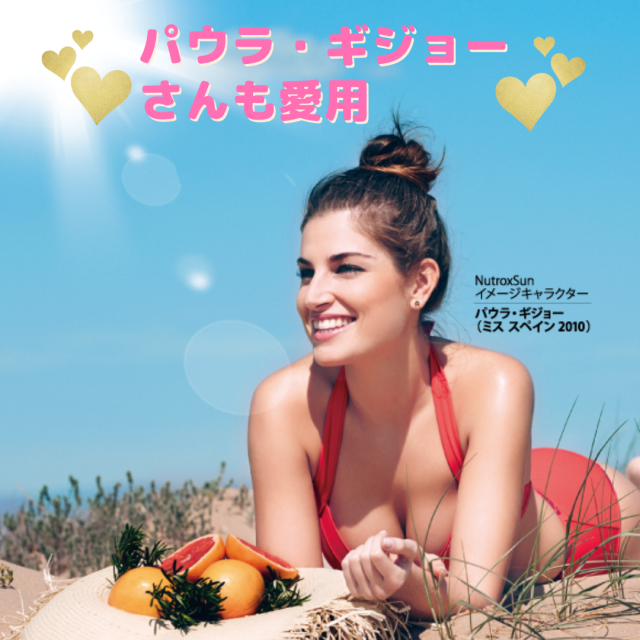 sun説明画像04