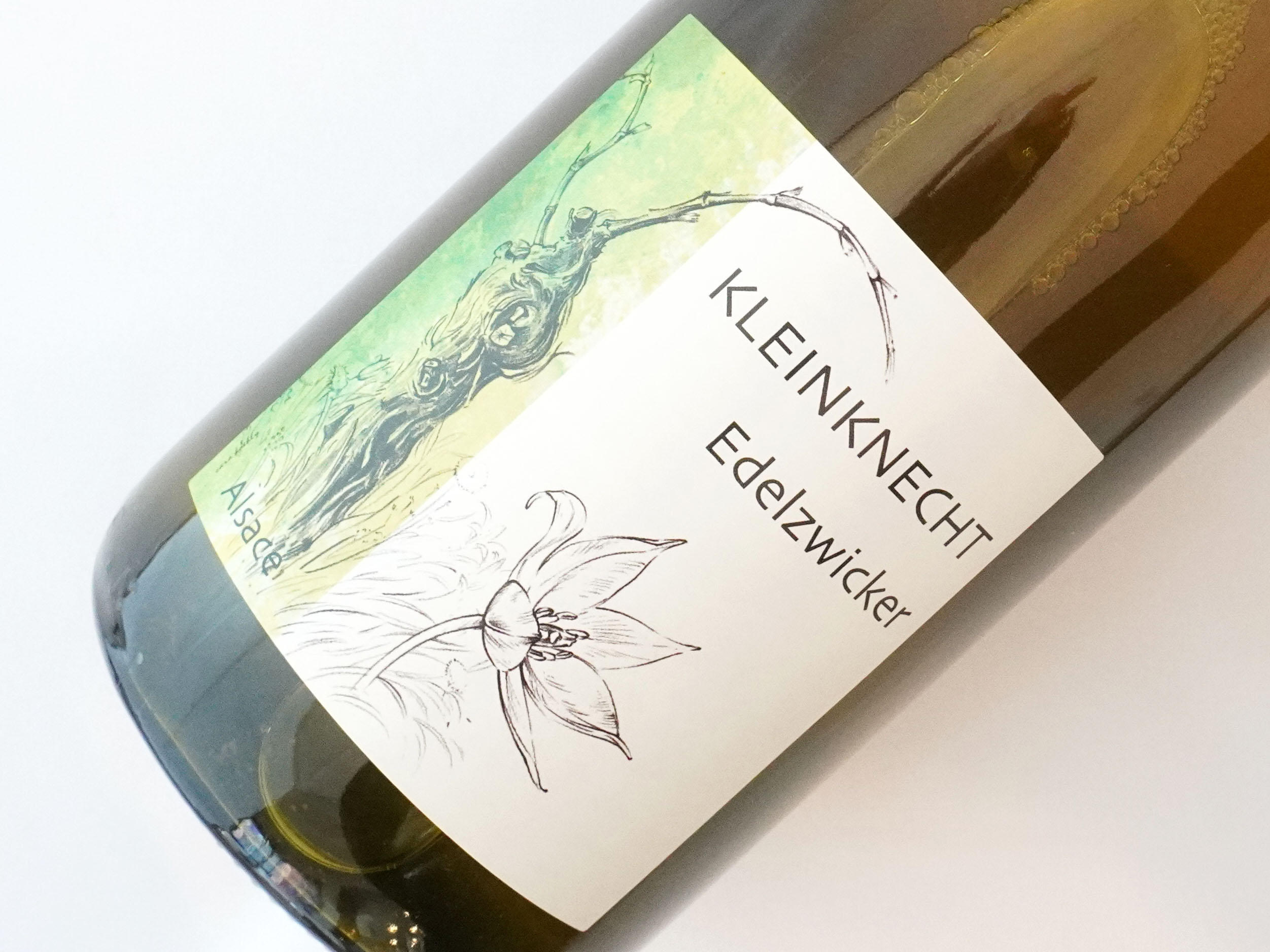 エーデルツヴィッカー