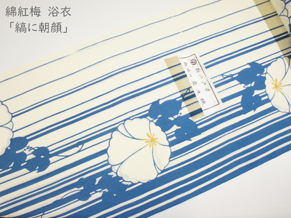 綿紅梅 浴衣「縞に朝顔」